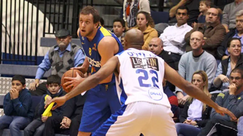 אינגלס במדי מכבי 