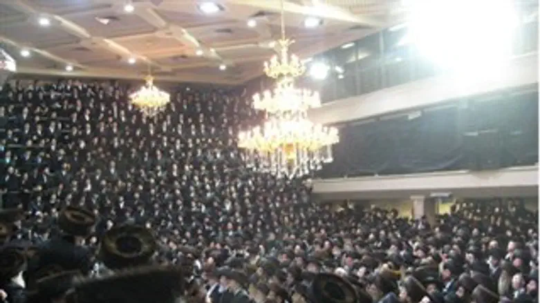 אילוסטרציה