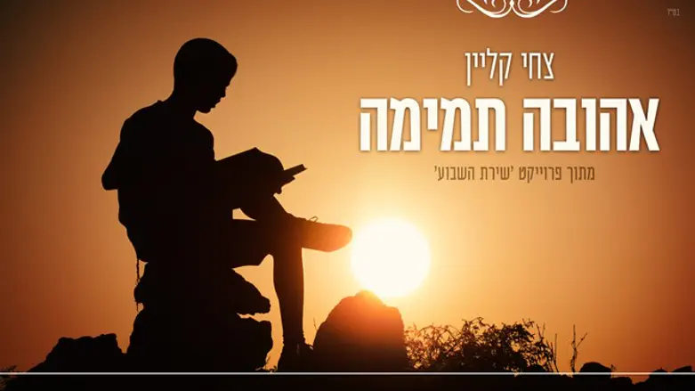 אהובה תמימה - צחי קליין