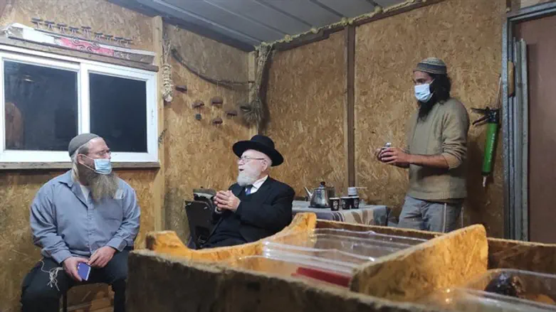 הרב דב ליאור