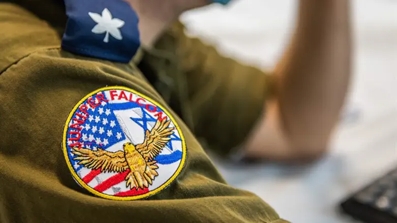 Juniper Falcon exercise