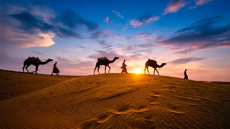 Traveling the desert